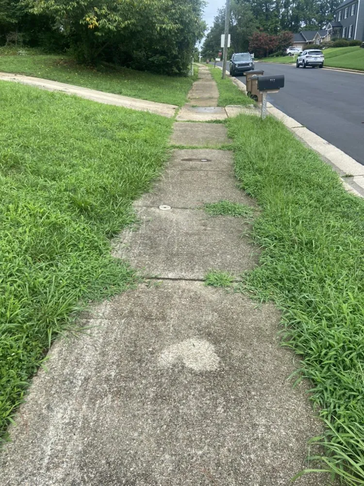 Custom landscape design in Wake Forest, NC by Greens R Us