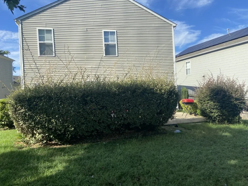 Trusted garden landscaping in Wake Forest, NC by Greens R Us