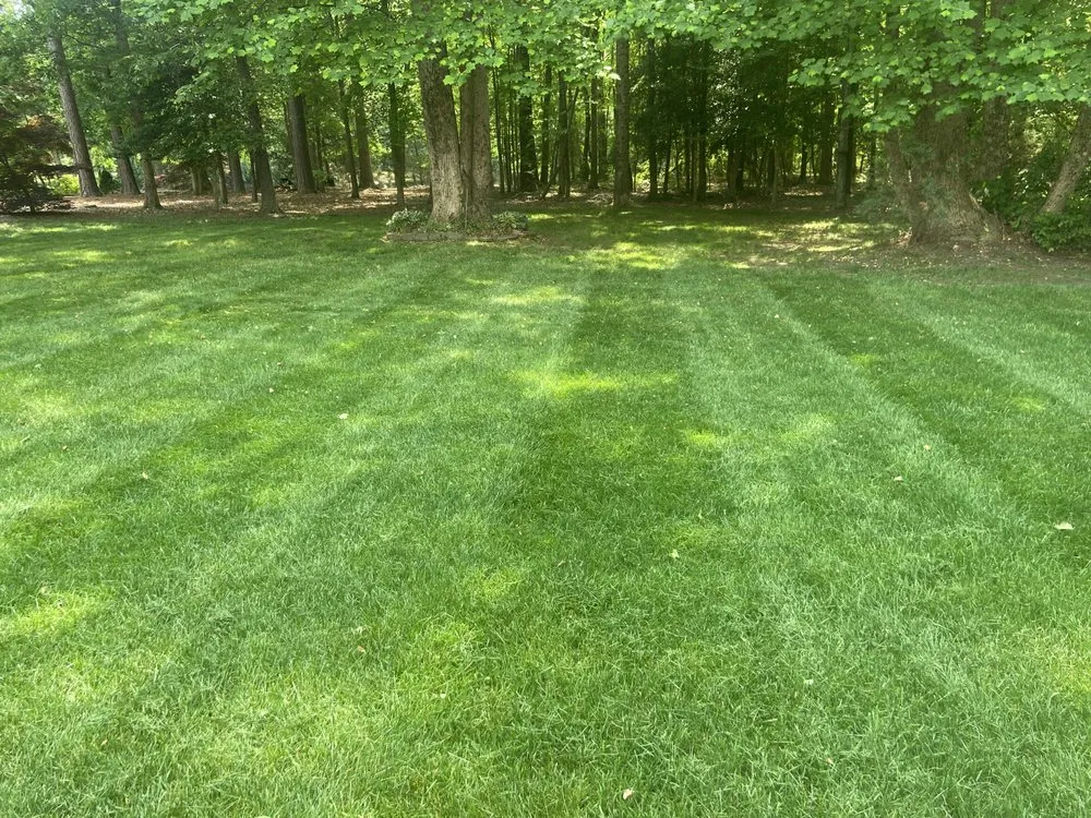 Trusted landscape installation in Wake Forest, NC - Greens R Us