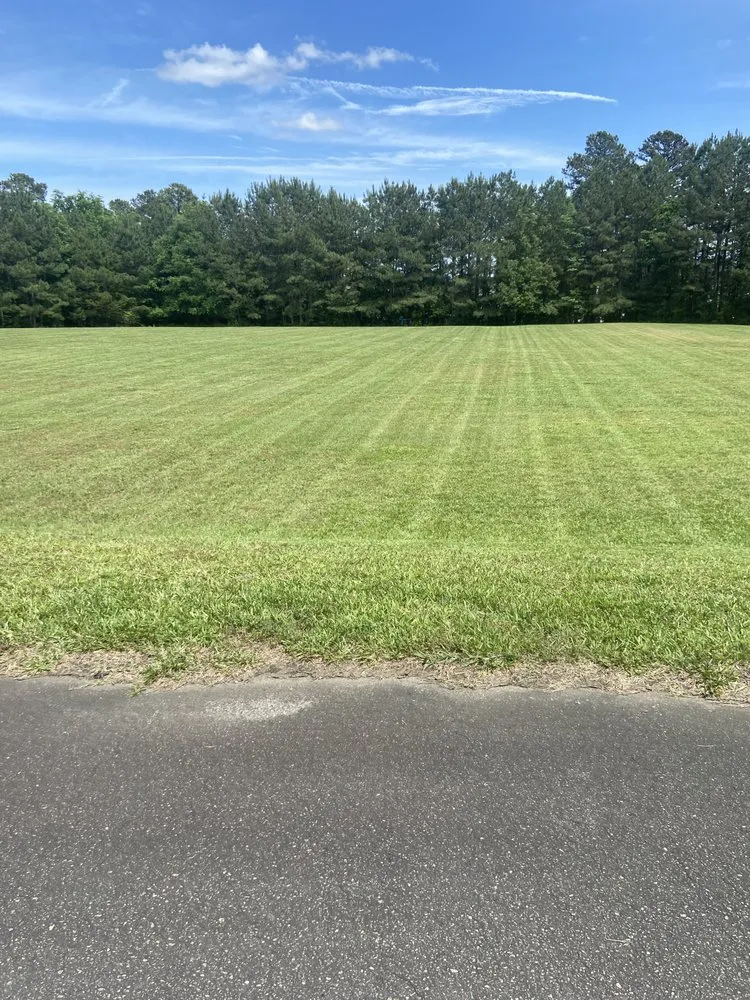 Top-rated yard maintenance experts serving Wake Forest, NC - Greens R Us