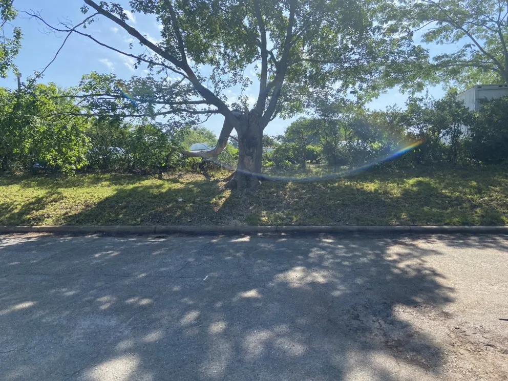 Affordable lawn care service in Wake Forest, NC - Greens R Us