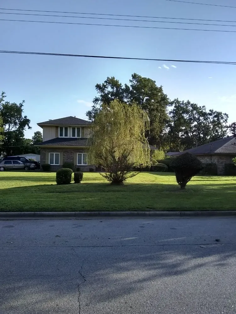 Trusted landscape installation for year-round maintenance in Savannah, GA by Greens Specialty Lawncare