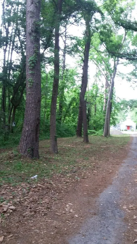 Local lawn care service in Savannah, GA by Greens Specialty Lawncare