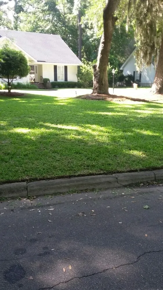 Custom residential landscaping for year-round maintenance across Savannah, GA - Greens Specialty Lawncare