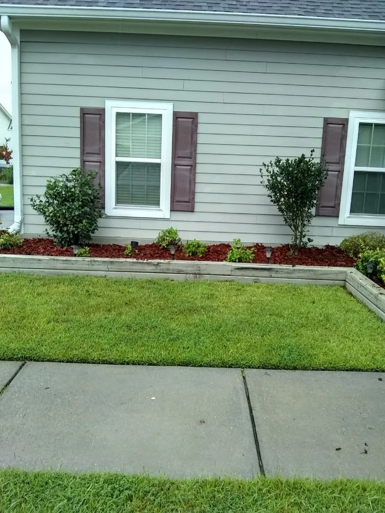 Local outdoor landscaping experts serving Savannah, GA - Greens Specialty Lawncare