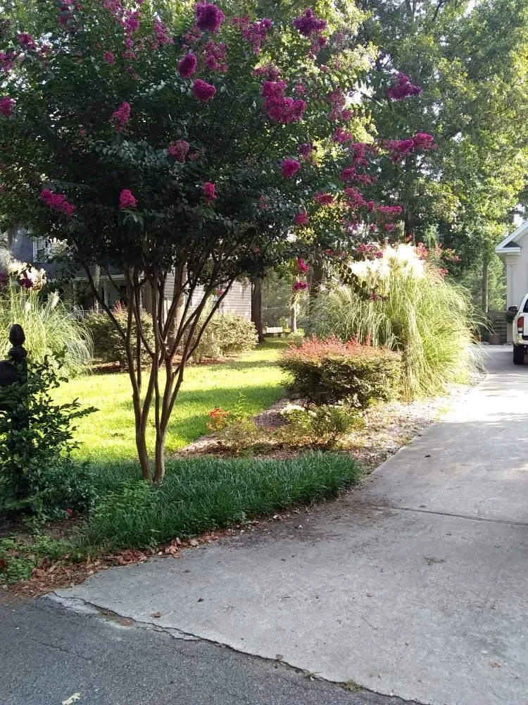 Custom landscape installation in Savannah, GA - Greens Specialty Lawncare