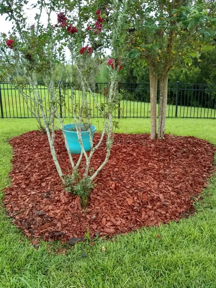 Trusted landscape design experts serving Savannah, GA - Greens Specialty Lawncare