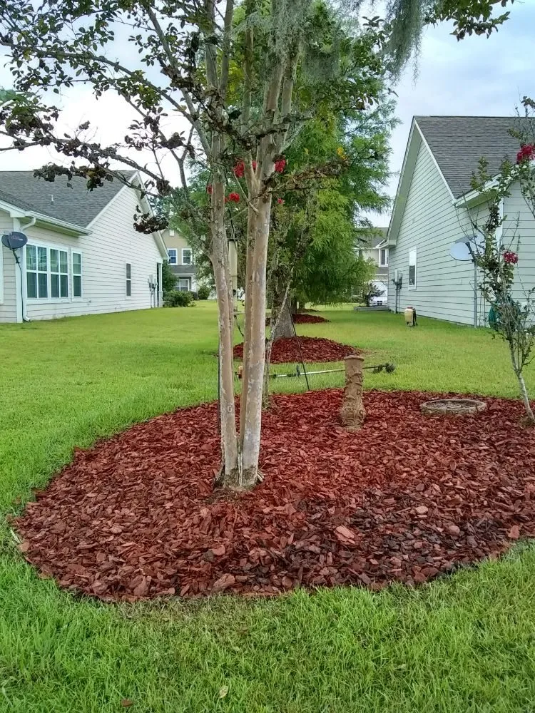 Custom residential landscaping for year-round maintenance in Savannah, GA by Greens Specialty Lawncare
