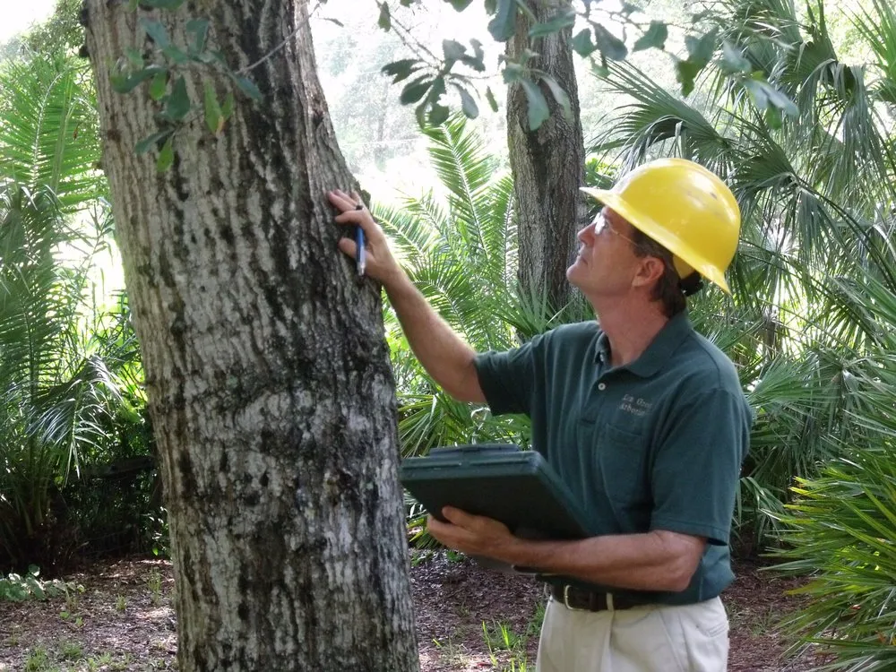Reliable landscape design in Bradenton, FL by Green's Tree & Landscape