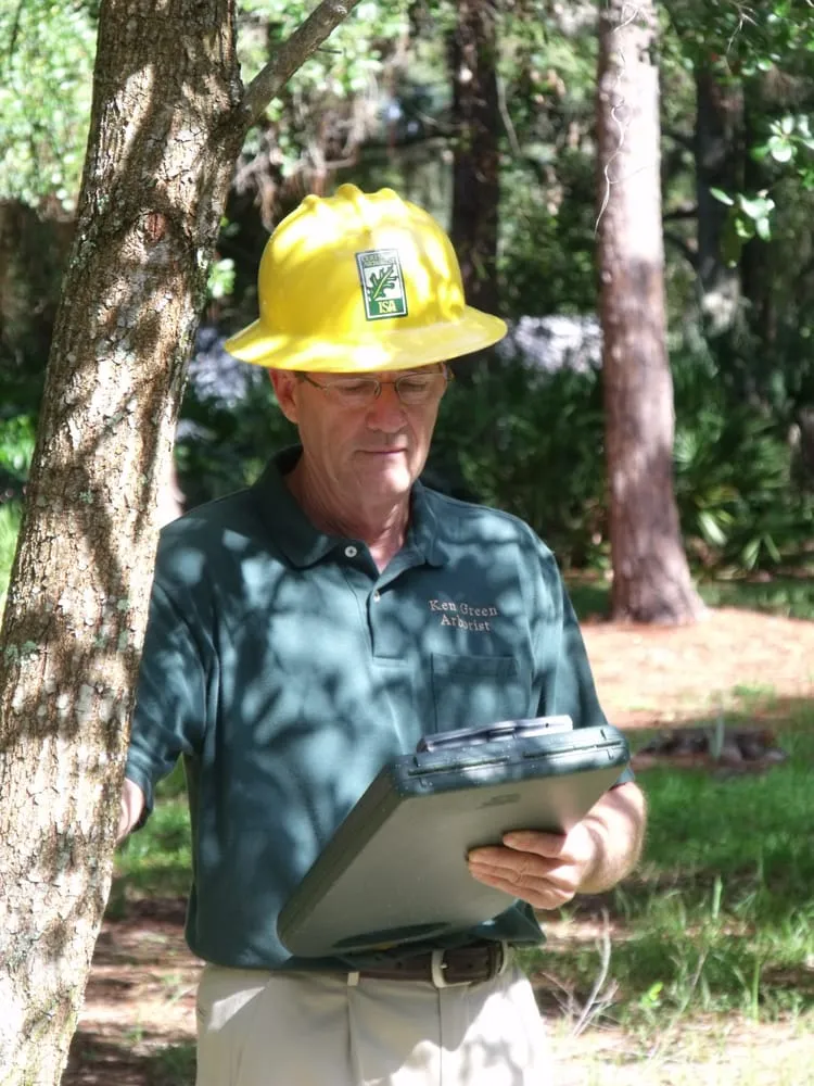 Professional lawn mowing service in Bradenton, FL by Green's Tree & Landscape