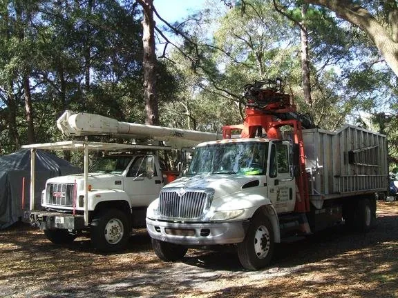 Affordable lawn care service experts serving Bradenton, FL - Green's Tree & Landscape