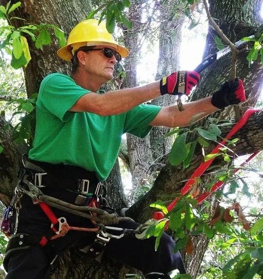 Professional outdoor landscaping in Bradenton, FL by Green's Tree & Landscape