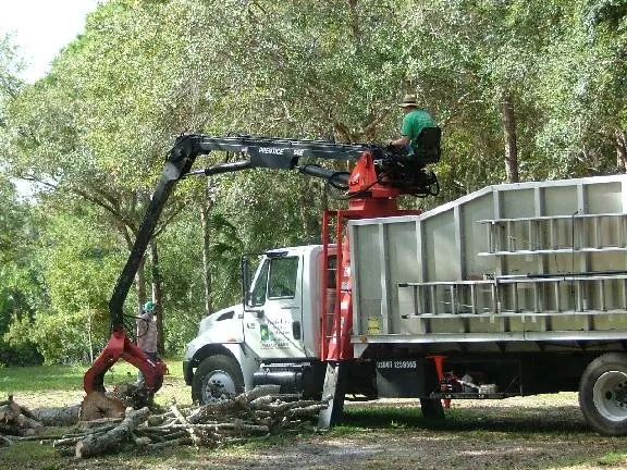 Expert landscape design for beautiful yards across Bradenton, FL - Green's Tree & Landscape