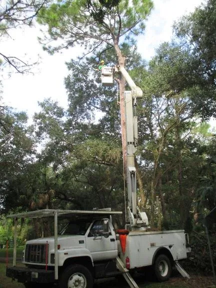 Trusted yard maintenance in Bradenton, FL by Green's Tree & Landscape