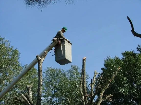Custom residential landscaping in Bradenton, FL by Green's Tree & Landscape