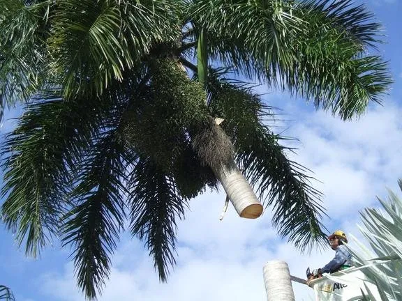 Trusted yard cleanup service with custom design in Bradenton, FL by Green's Tree & Landscape