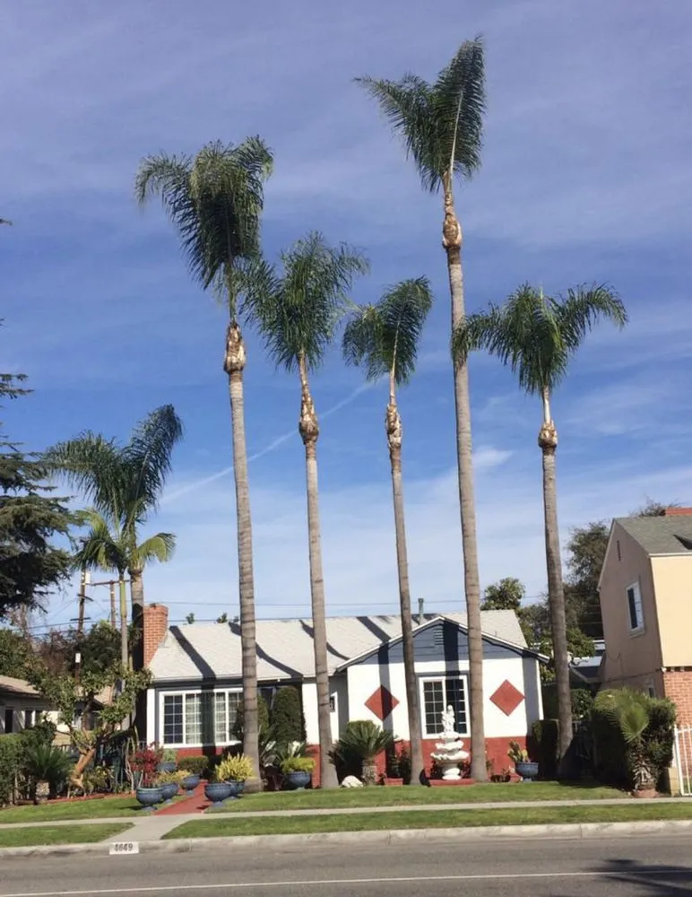 Trusted garden landscaping in South Gate, CA - Green's Tree & Landscaping Care