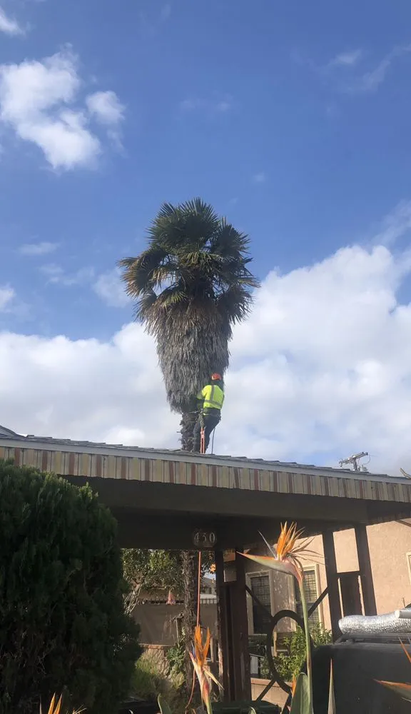 Affordable landscape design for residential properties across South Gate, CA - Green's Tree & Landscaping Care