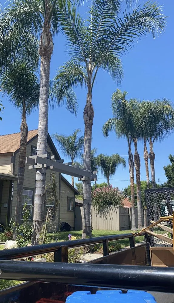 Top-rated garden landscaping in South Gate, CA - Green's Tree & Landscaping Care