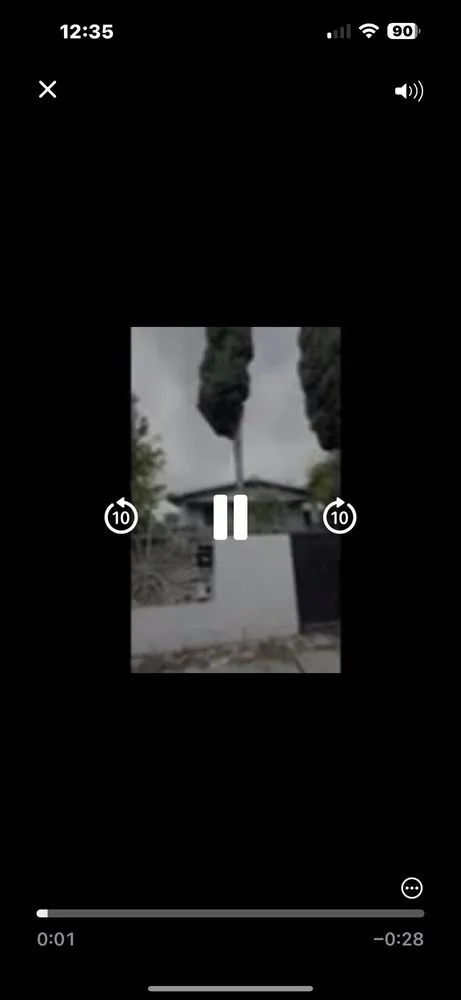 Affordable yard maintenance in South Gate, CA by Green's Tree & Landscaping Care