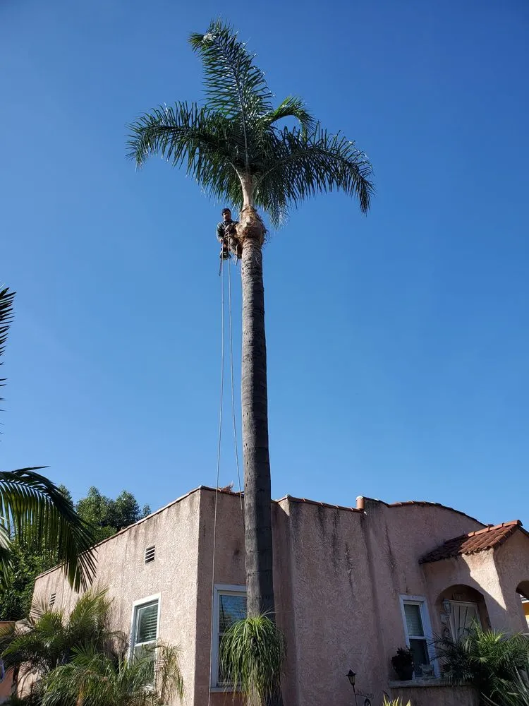 Expert residential landscaping for beautiful yards in South Gate, CA by Green's Tree & Landscaping Care