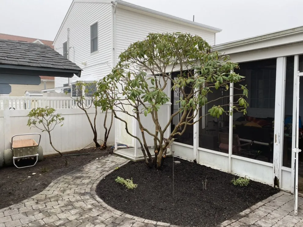 Professional yard maintenance for beautiful yards in Jim Thorpe, PA by Greens Tree Service