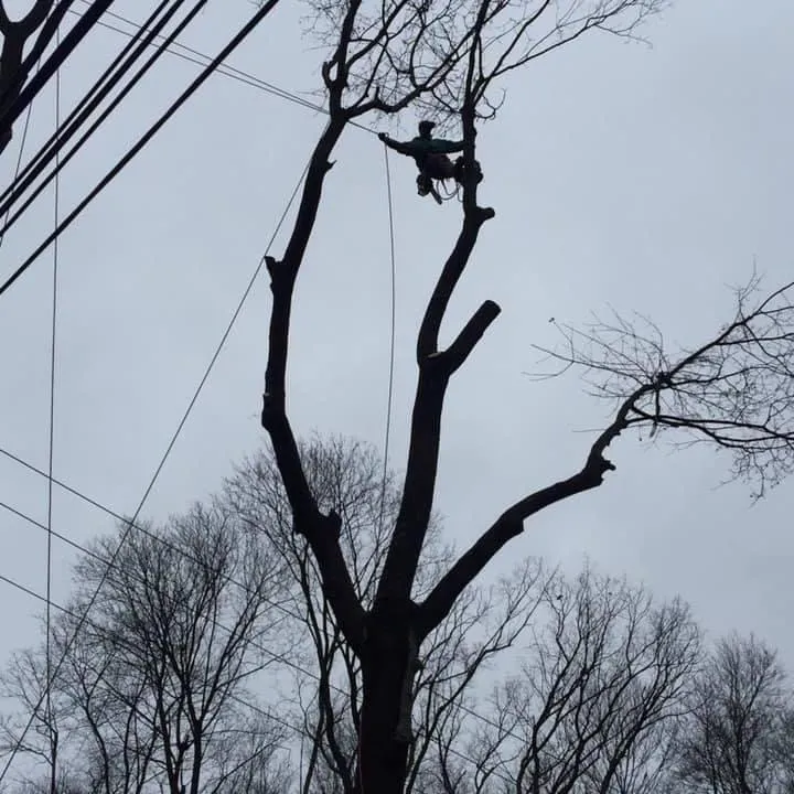 Reliable garden landscaping in Jim Thorpe, PA - Greens Tree Service