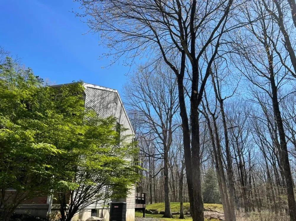 Custom residential landscaping experts serving Jim Thorpe, PA - Greens Tree Service