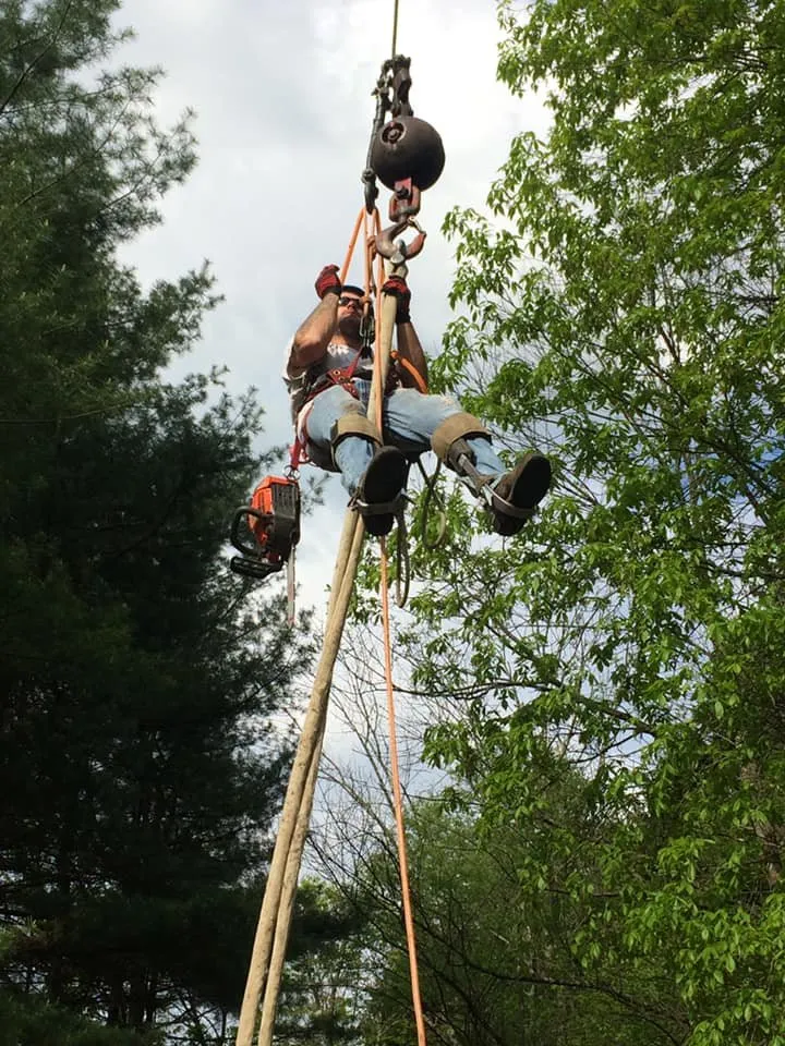 Professional lawn mowing service in Jim Thorpe, PA by Greens Tree Service