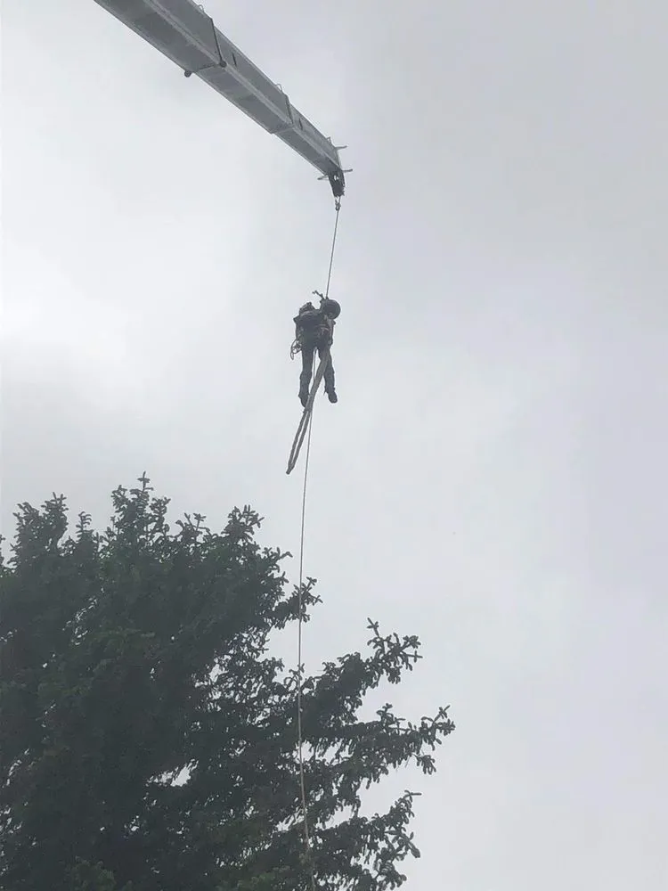 Expert yard cleanup service for homes across Jim Thorpe, PA - Greens Tree Service