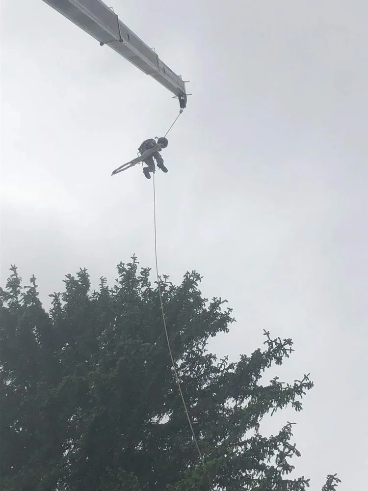 Reliable residential landscaping experts serving Jim Thorpe, PA - Greens Tree Service