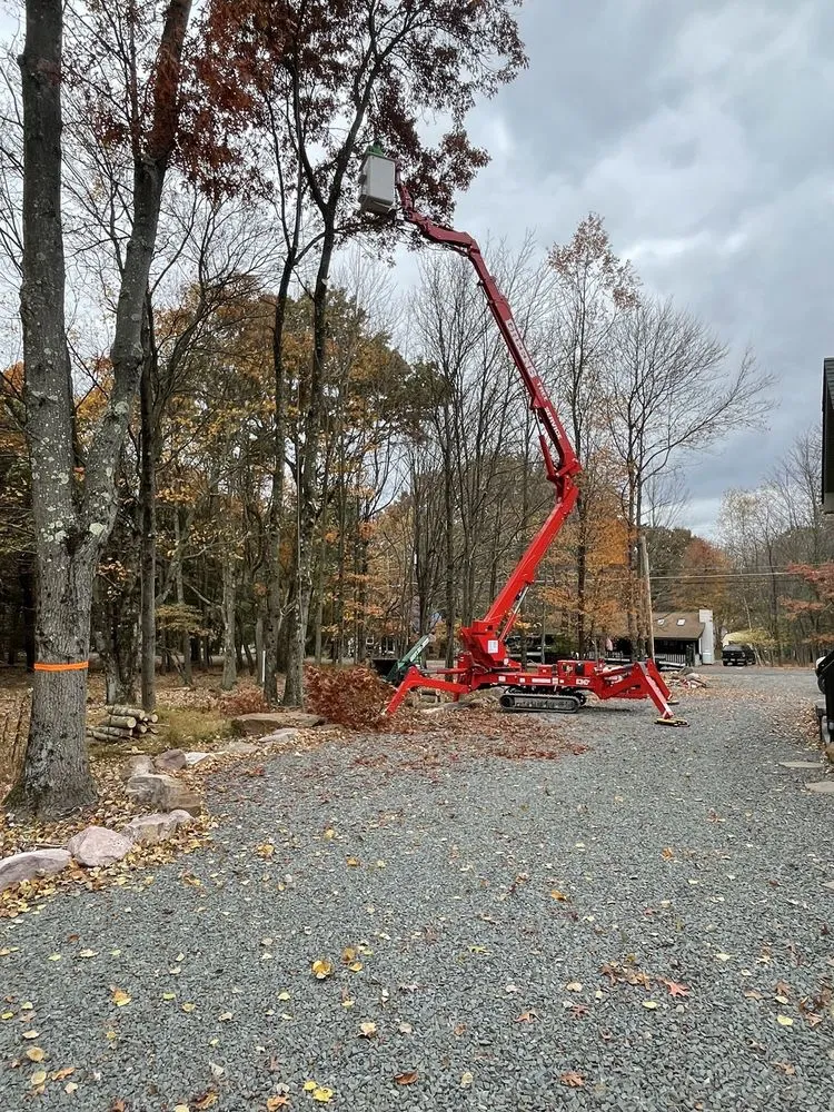 Custom yard cleanup service in Jim Thorpe, PA by Greens Tree Service