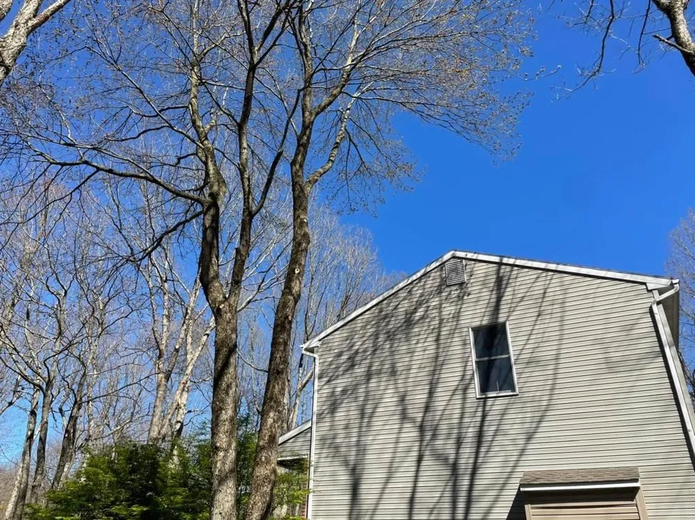 Custom landscape installation experts serving Jim Thorpe, PA - Greens Tree Service