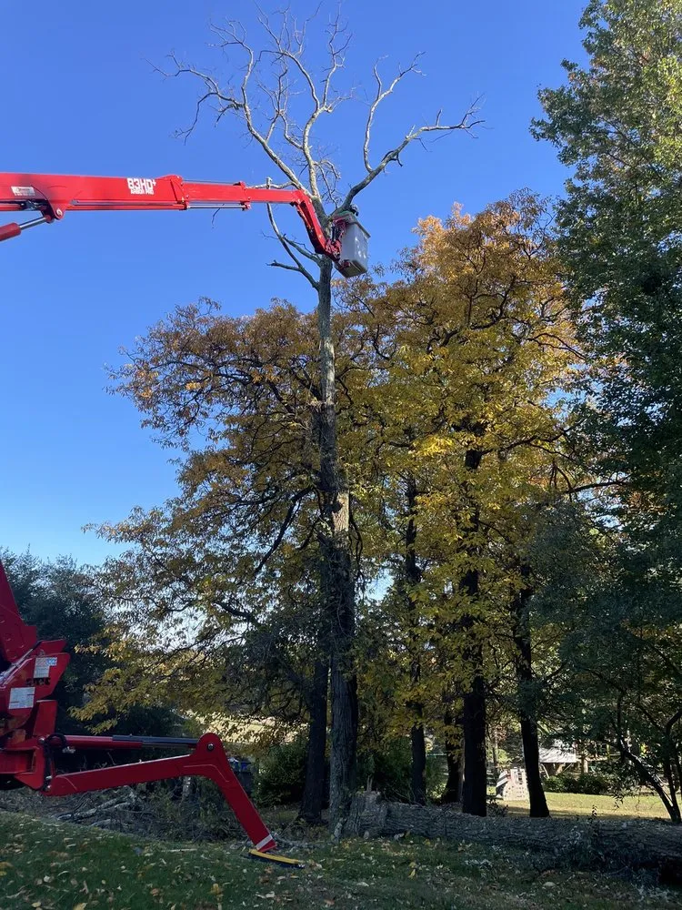 Reliable residential landscaping for outdoor upgrades across Jim Thorpe, PA - Greens Tree Service