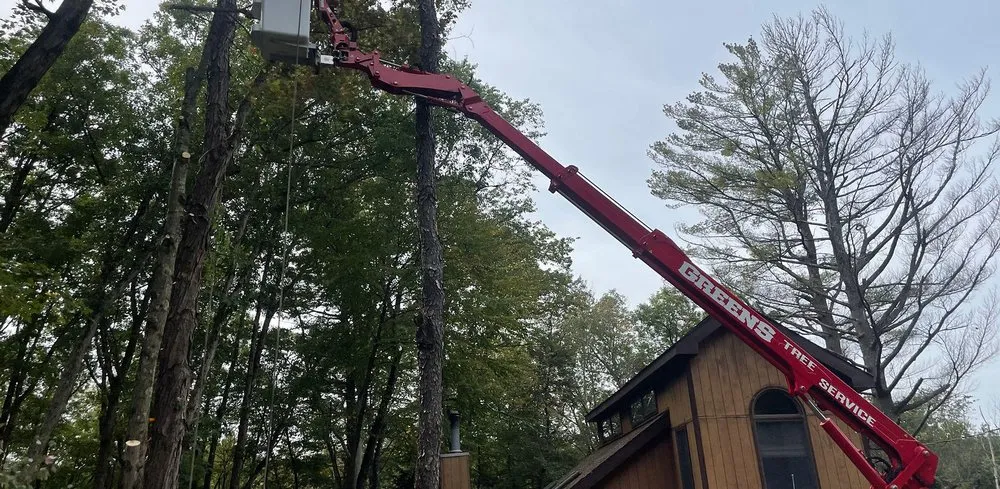 Affordable yard cleanup service experts serving Jim Thorpe, PA - Greens Tree Service