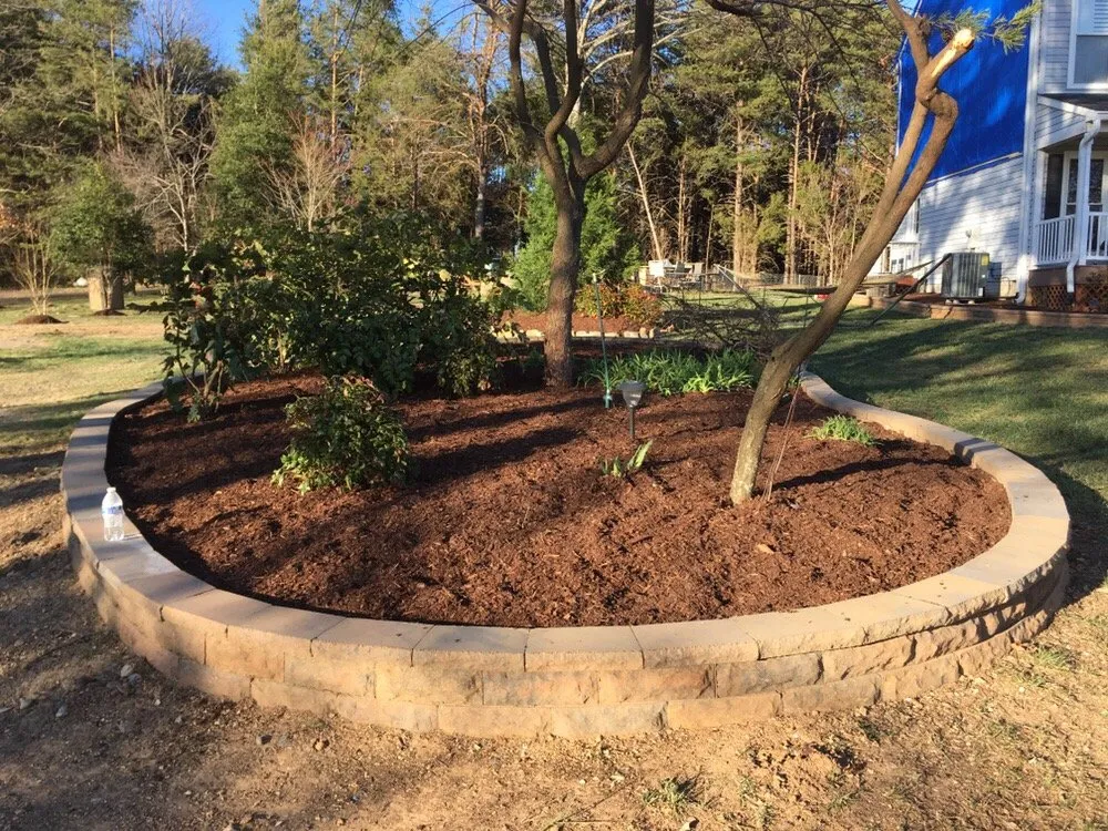 Top-rated yard maintenance in Stafford, VA by Green's Tree Service