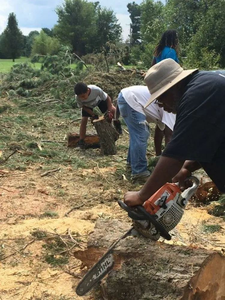 Expert residential landscaping for homes in Stafford, VA by Green's Tree Service