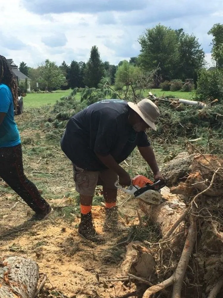 Top-rated residential landscaping experts serving Stafford, VA - Green's Tree Service