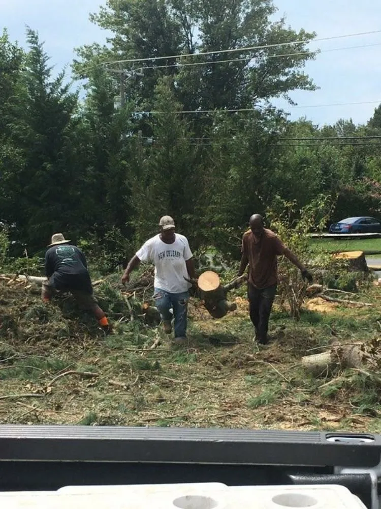 Affordable lawn care service in Stafford, VA - Green's Tree Service