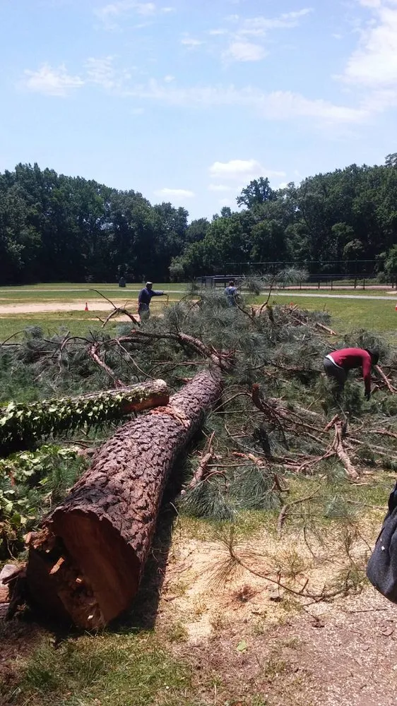 Top-rated lawn mowing service for beautiful yards across Stafford, VA - Green's Tree Service