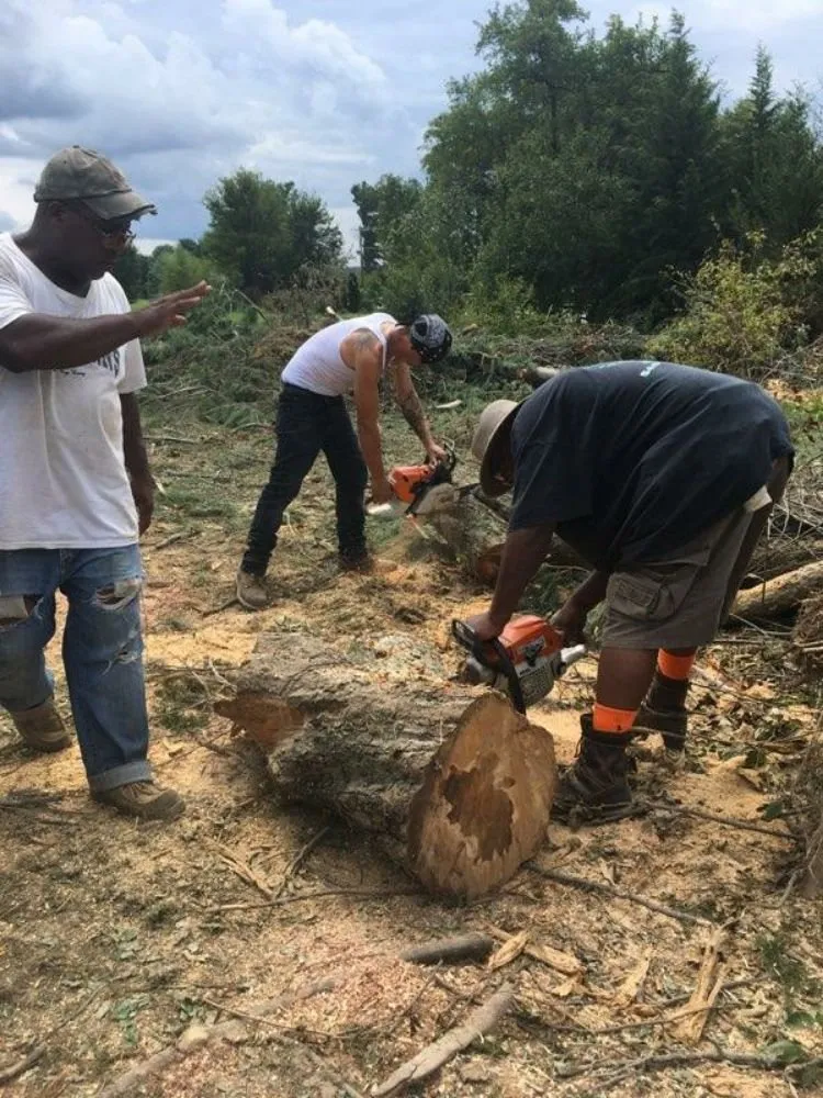 Top-rated outdoor landscaping for residential properties across Stafford, VA - Green's Tree Service