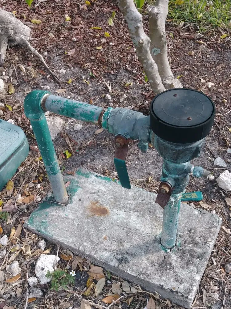 Affordable landscape design for homes in Miami, FL by Greensandigo Landscaping