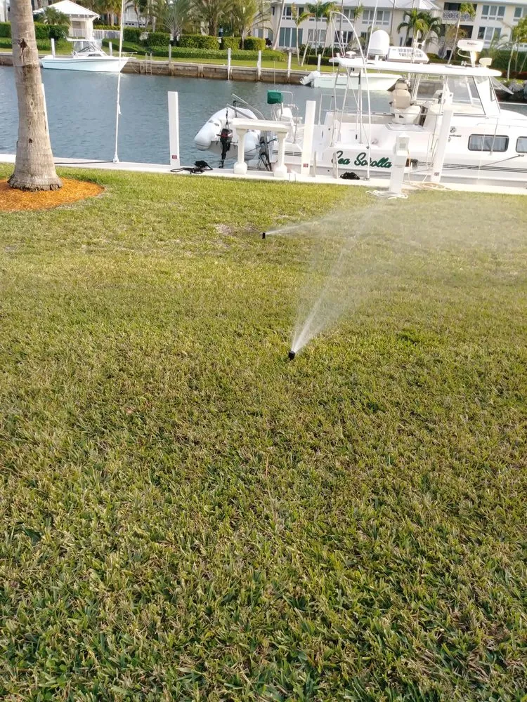 Professional landscape design in Miami, FL by Greensandigo Landscaping