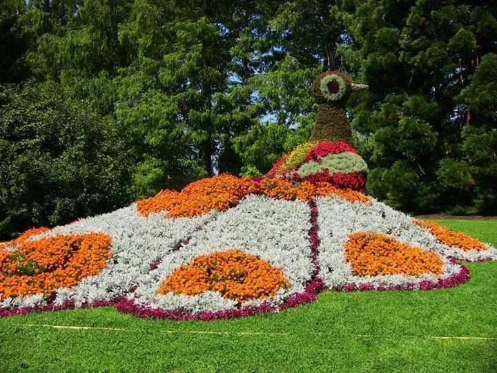 Reliable yard cleanup service for beautiful yards in Miami, FL by Greensandigo Landscaping