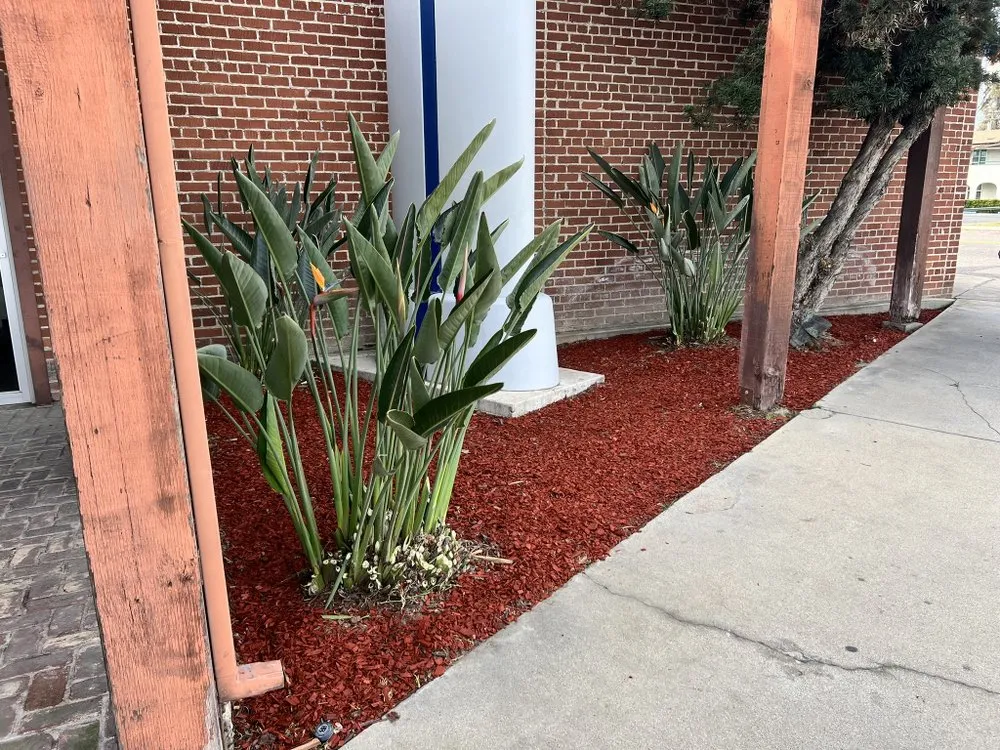 Affordable lawn mowing service for residential properties across Goshen, CA - GreenSaver LawnCare