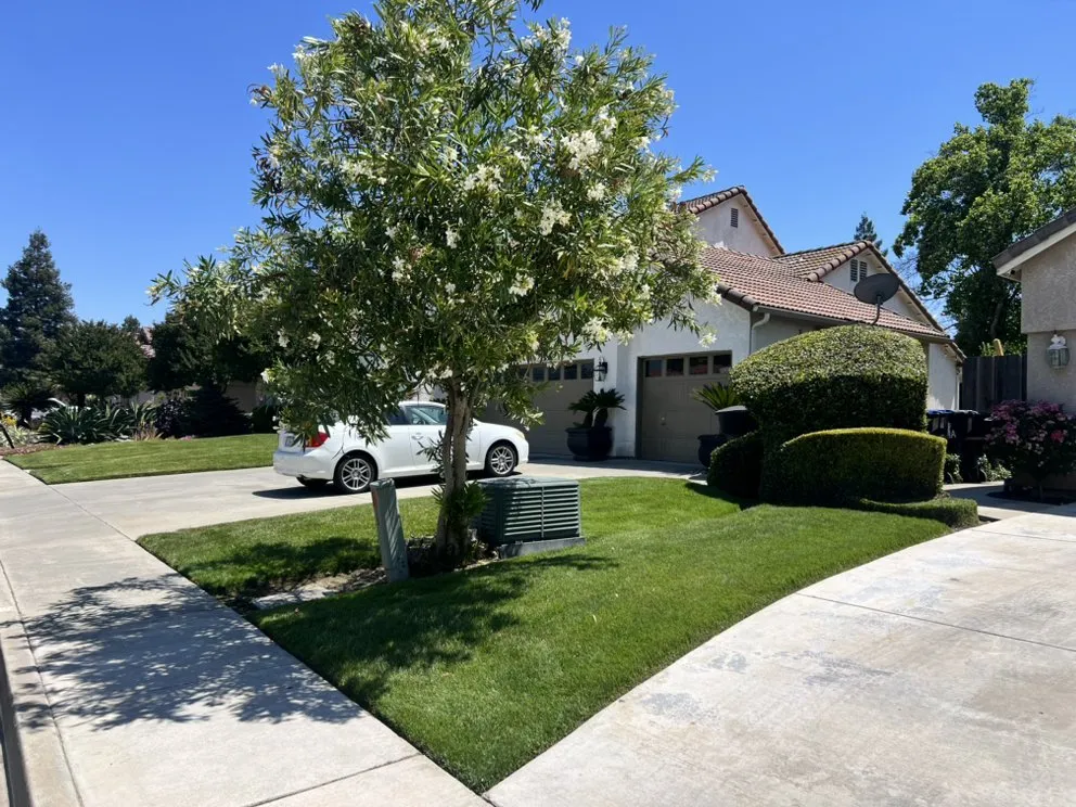 Professional landscaping services with custom design across Goshen, CA - GreenSaver LawnCare