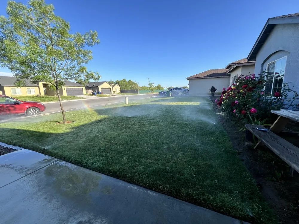 Custom yard cleanup service in Goshen, CA by GreenSaver LawnCare