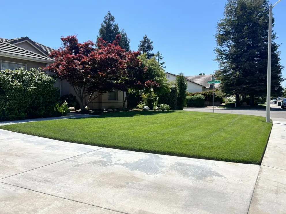 Affordable residential landscaping for residential properties in Goshen, CA by GreenSaver LawnCare