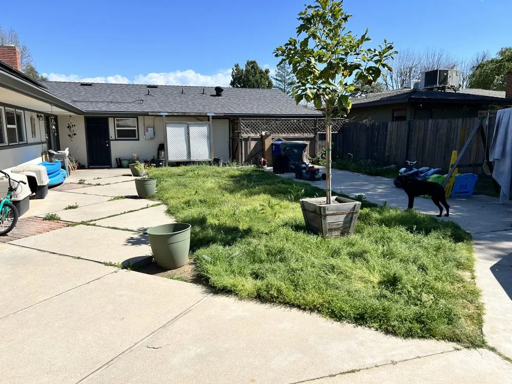 Top-rated garden landscaping for homes in Goshen, CA by GreenSaver LawnCare