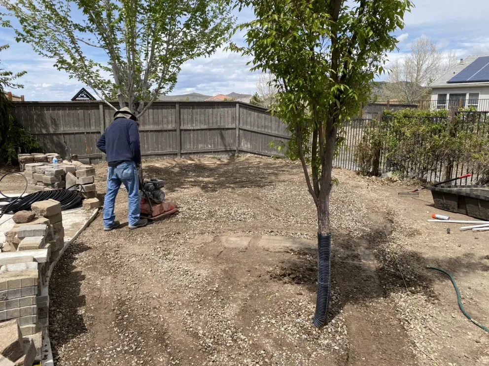 Top-rated yard maintenance for beautiful yards across Reno, NV - Greenscape & Landscaping Solutions